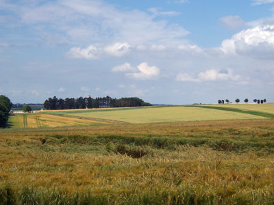 Thiepval Ridge