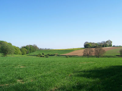 The Sunken Lane