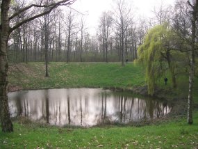 Caterpillar Crater