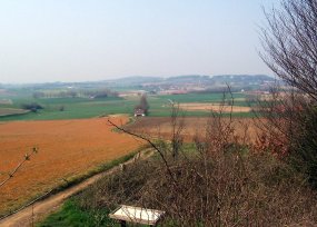 View to Mont Noir