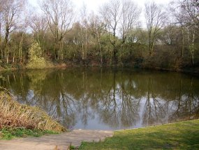 Mine Crater, Spangbroekmolen